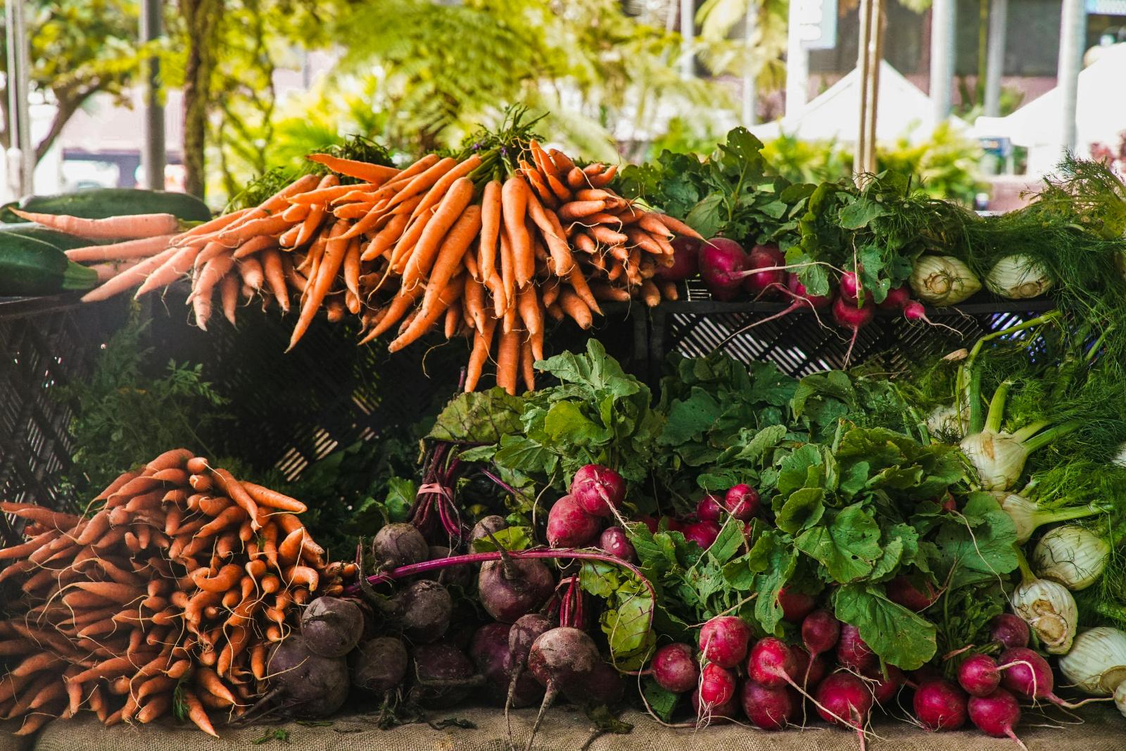 Display of Orange Carrots, Red radishes, and Onions in black bins outside of a farmers market